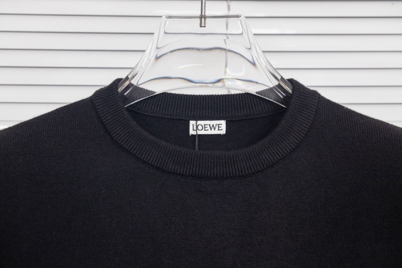 Loewe Sweaters